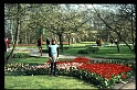 04.Keukenhof apr 1973 Marion